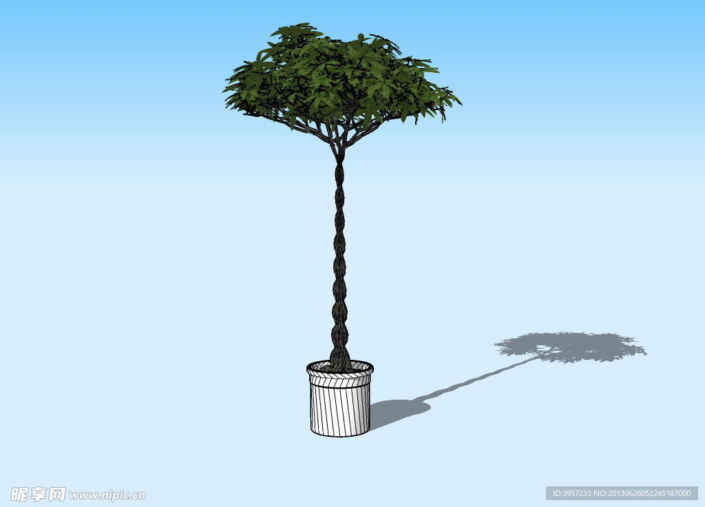 盆景3D模型