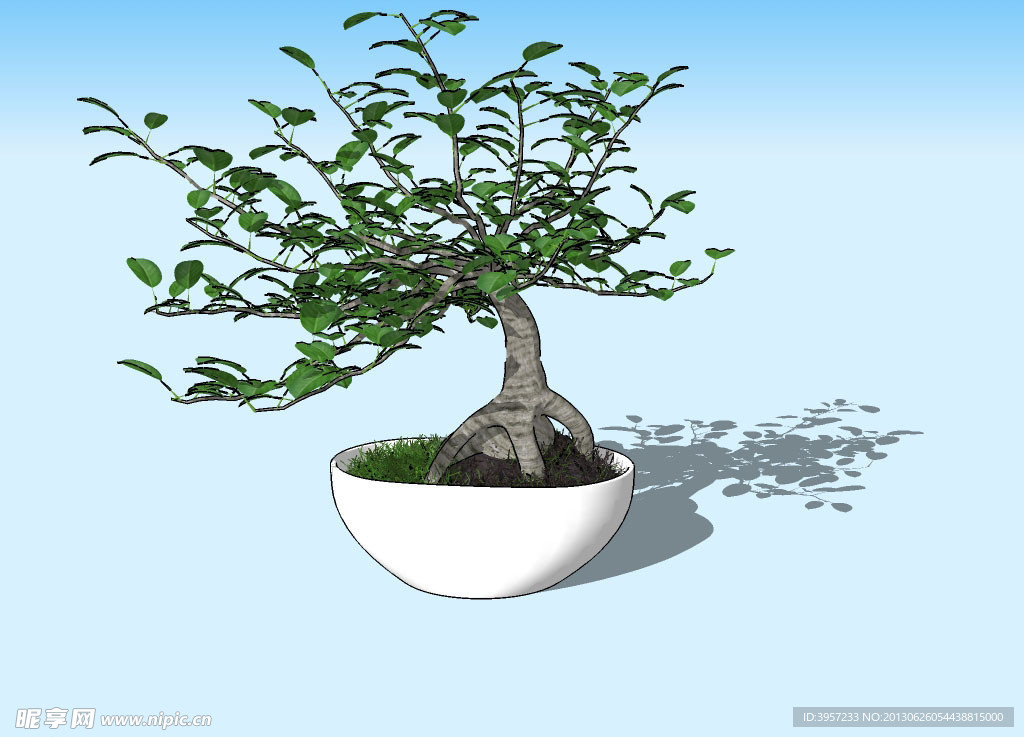 盆景3D模型