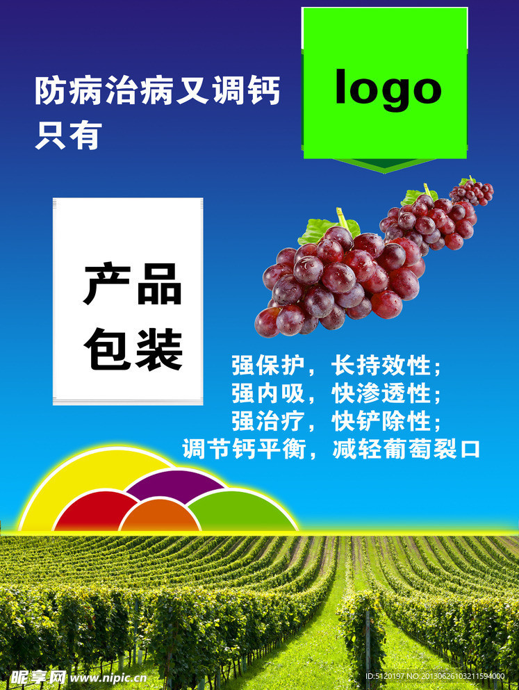 葡萄宣传单