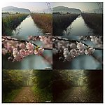 风景调色动作