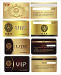VIP贵宾名片