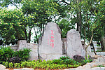 美丽 洁源