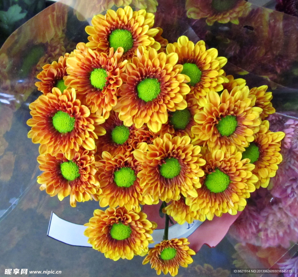 菊花