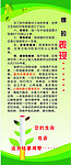 吸烟危害