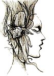 人物插画设计