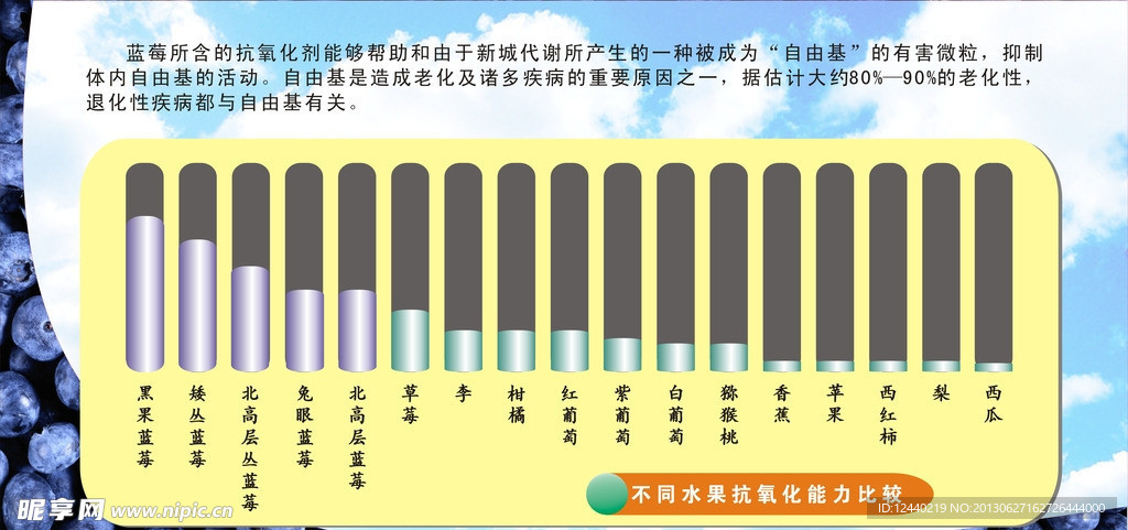 蓝莓宣传