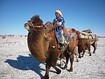 内蒙古正蓝旗冬季那达