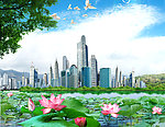 城市莲花风景
