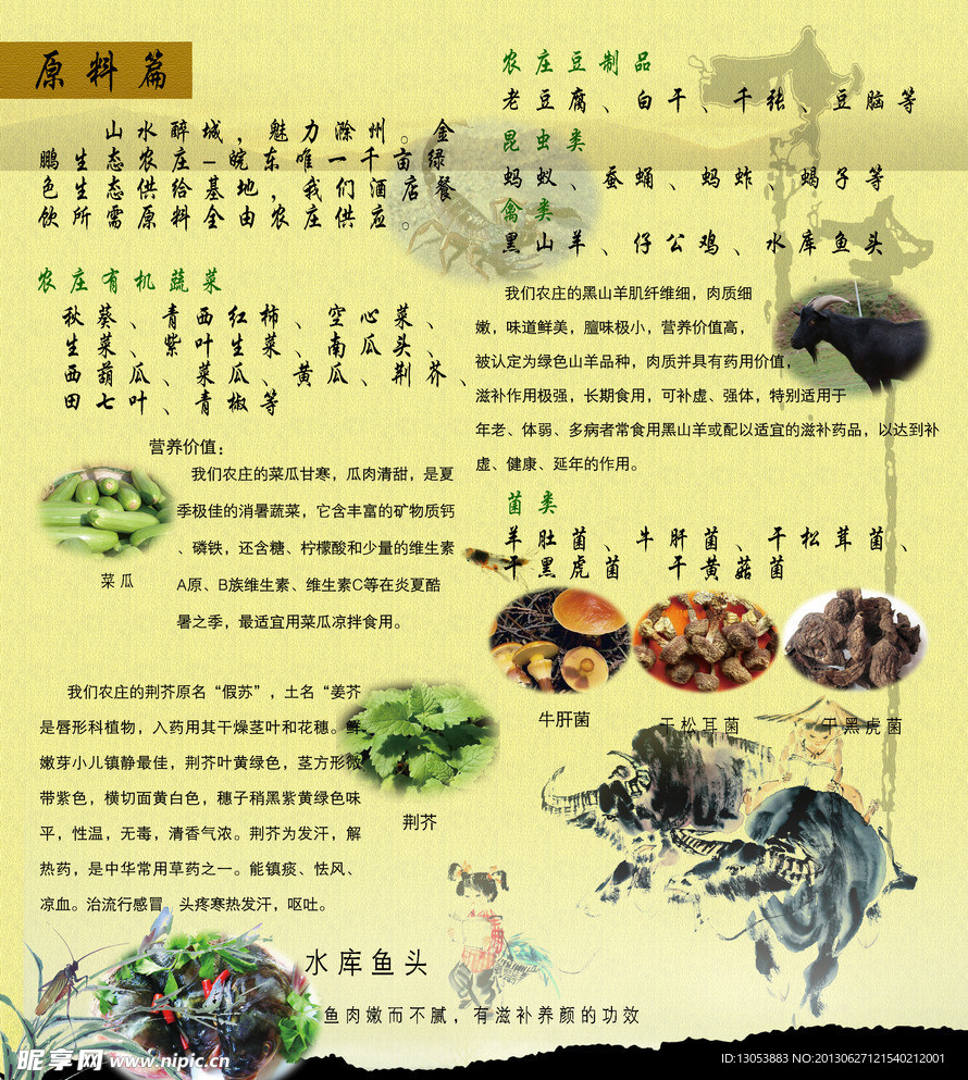 原料宣传单页