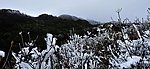 洁景