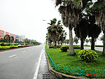环岛路