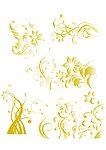 花纹