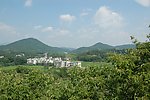 鄂东农村