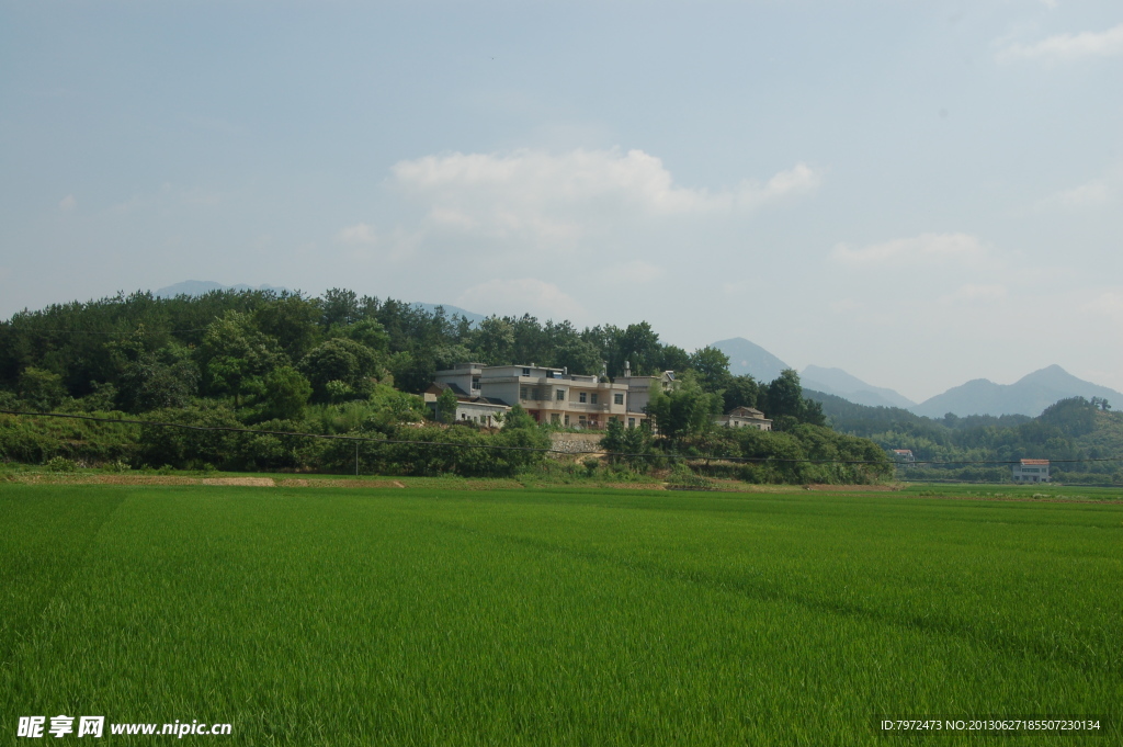 田园风光