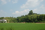 田园风光