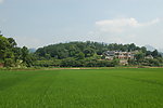 田园风光