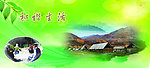 和谐生活