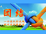 企业文化 团结