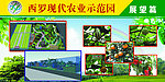 现代农业示范园