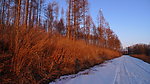 雪路夕阳