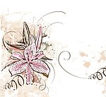 花纹