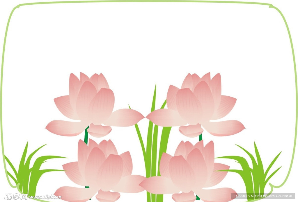 荷花