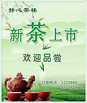 新茶上市