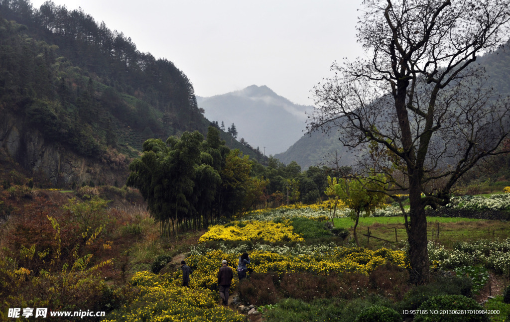 小山村