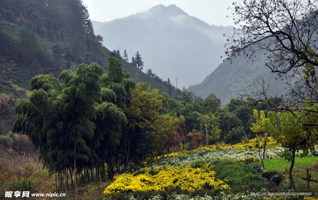 小山村