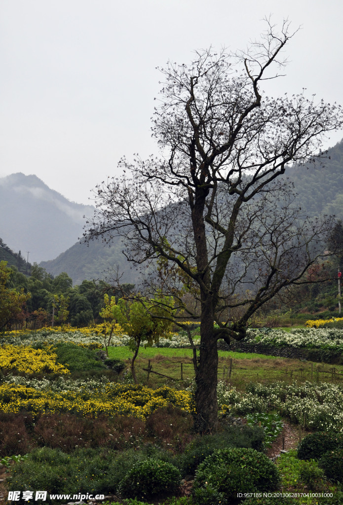 小山村