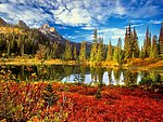 自然风景