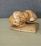 艺术展厅根雕作品