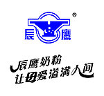 辰鹰LOGO
