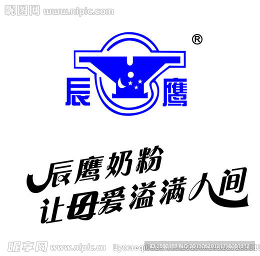 辰鹰LOGO