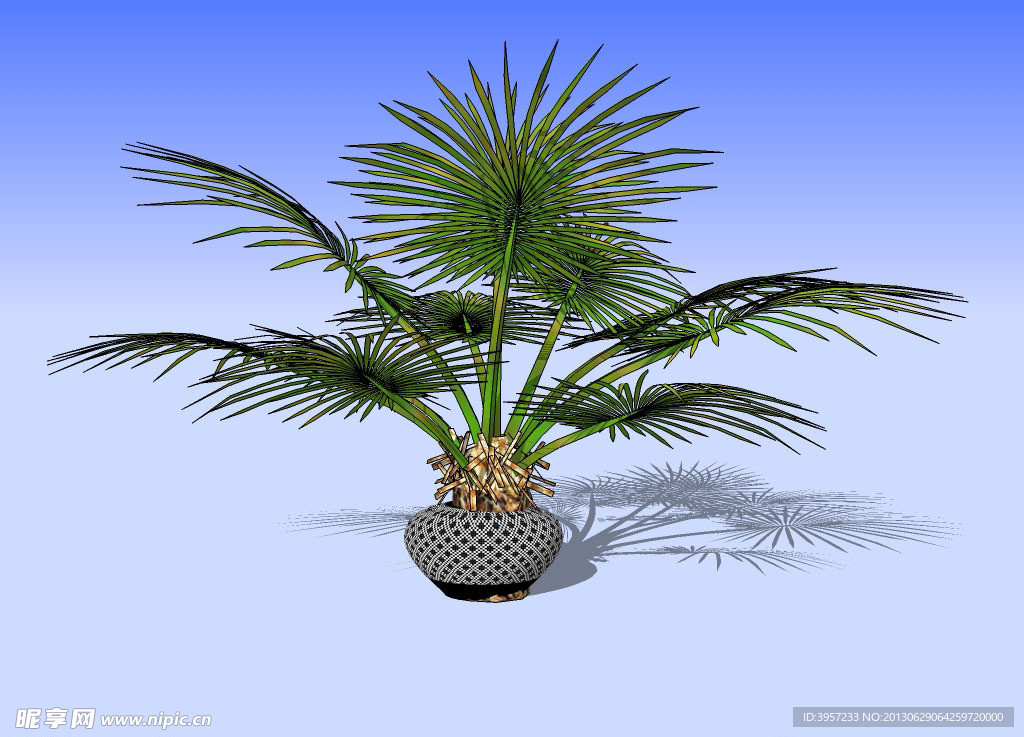 盆景3D模型