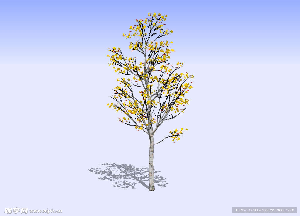 杂树3D模型