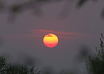 夕阳