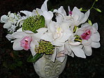 兰花