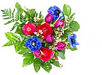 鲜花