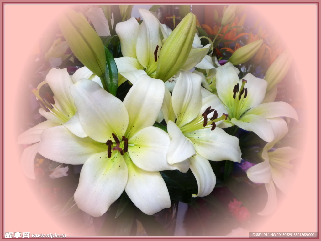 百合花