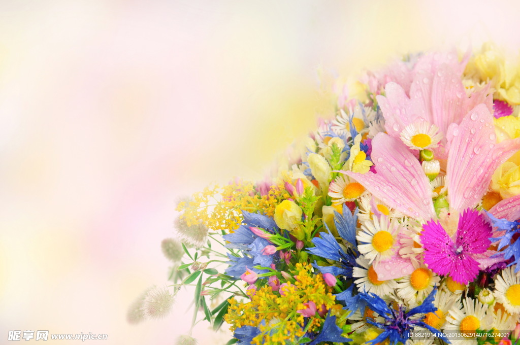 鲜花