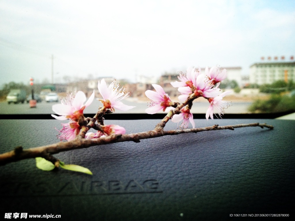 桃花