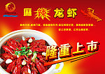 龙虾彩页