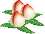 桃子