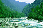 青山绿水