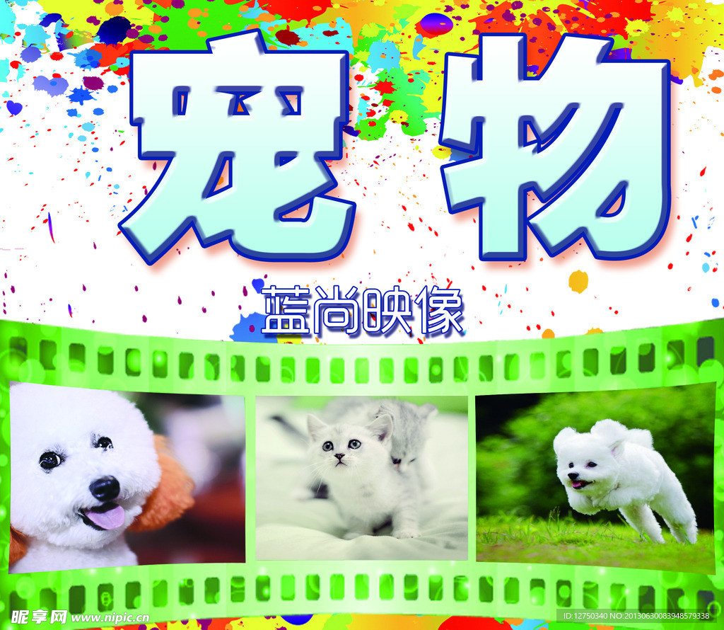 宠物