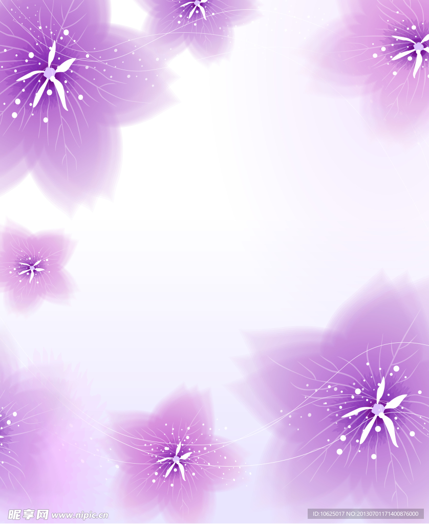 紫色花朵