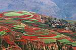 红高原