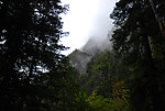 香格里拉山林