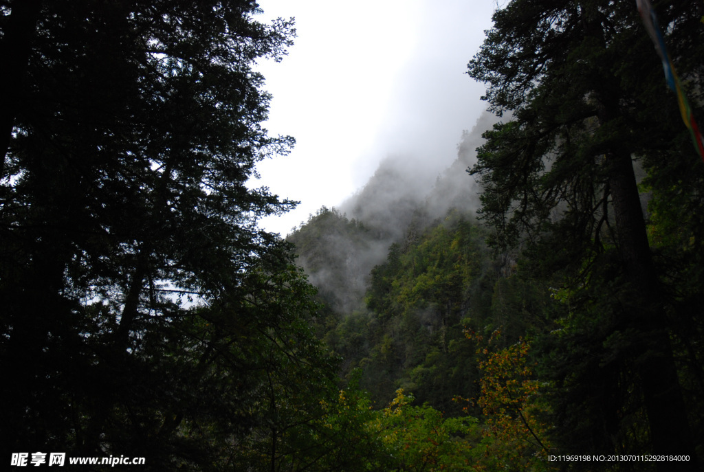 香格里拉山林